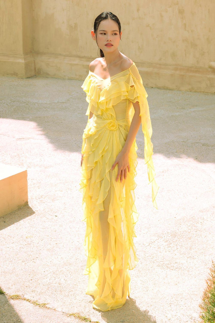 Murray Sheath Ruffled Organza Voile Floor Length Dress 5