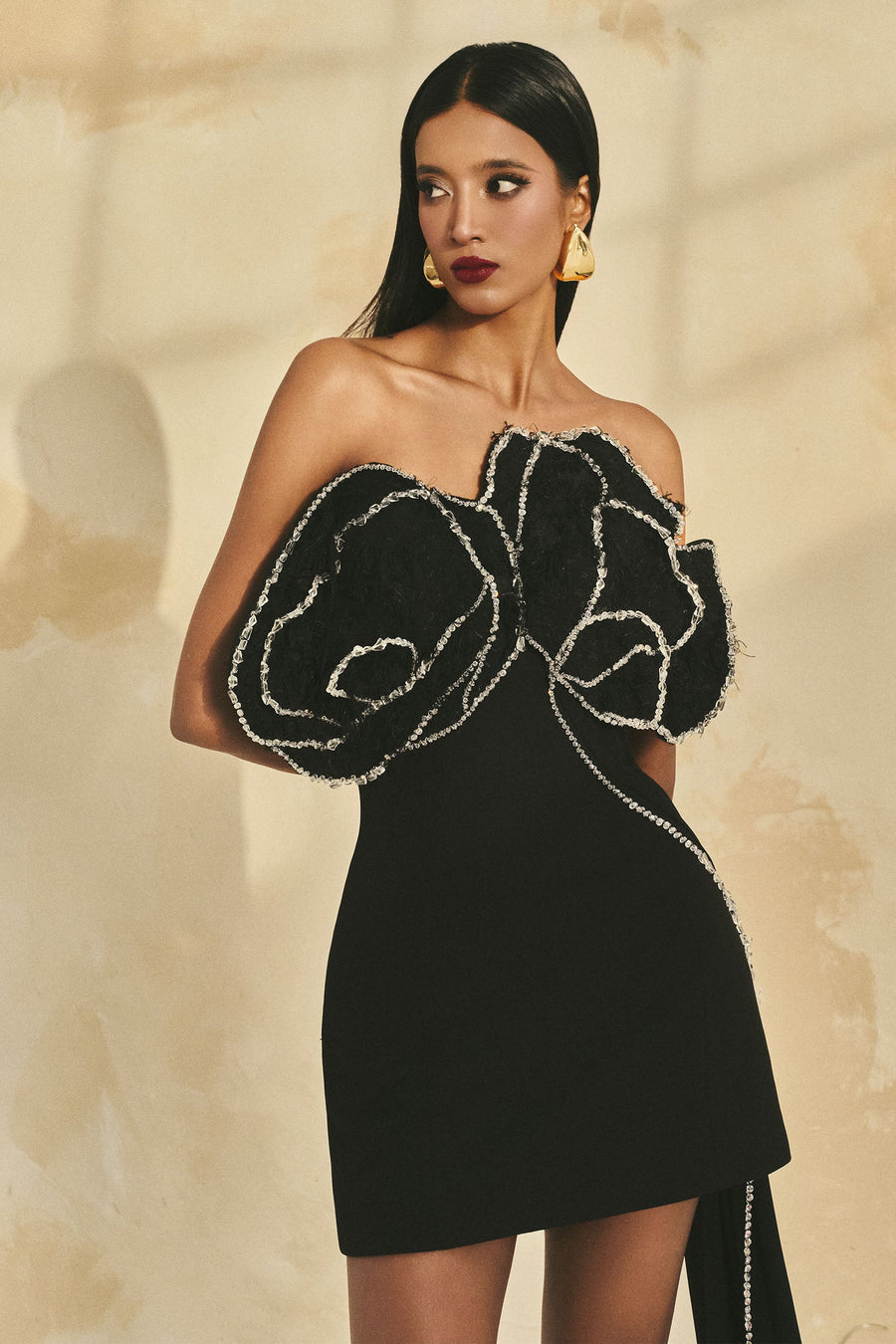 Ira Applique Mini Dress 5