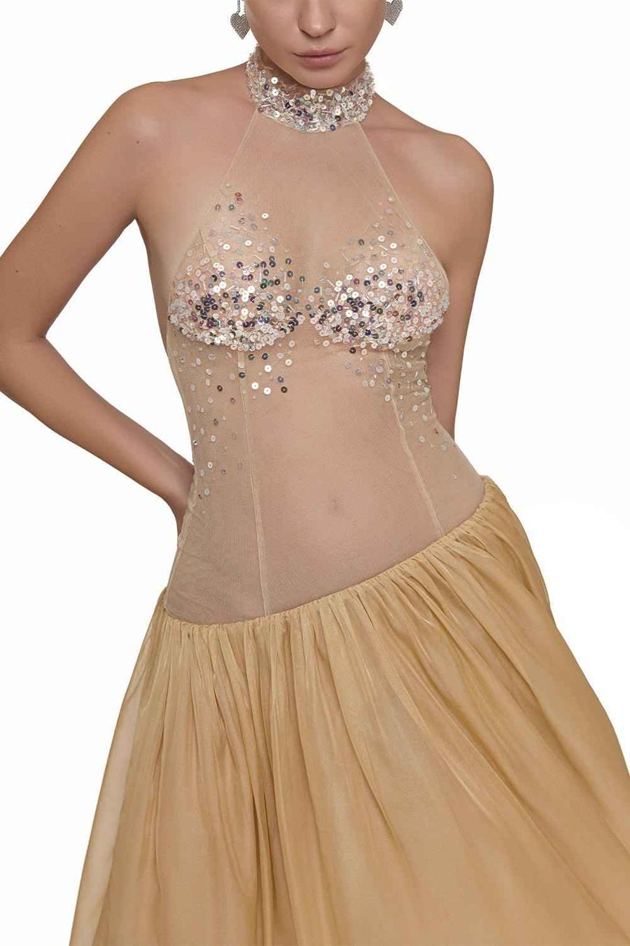 Lana Gathered See-Through Chiffon Floor Length Dress