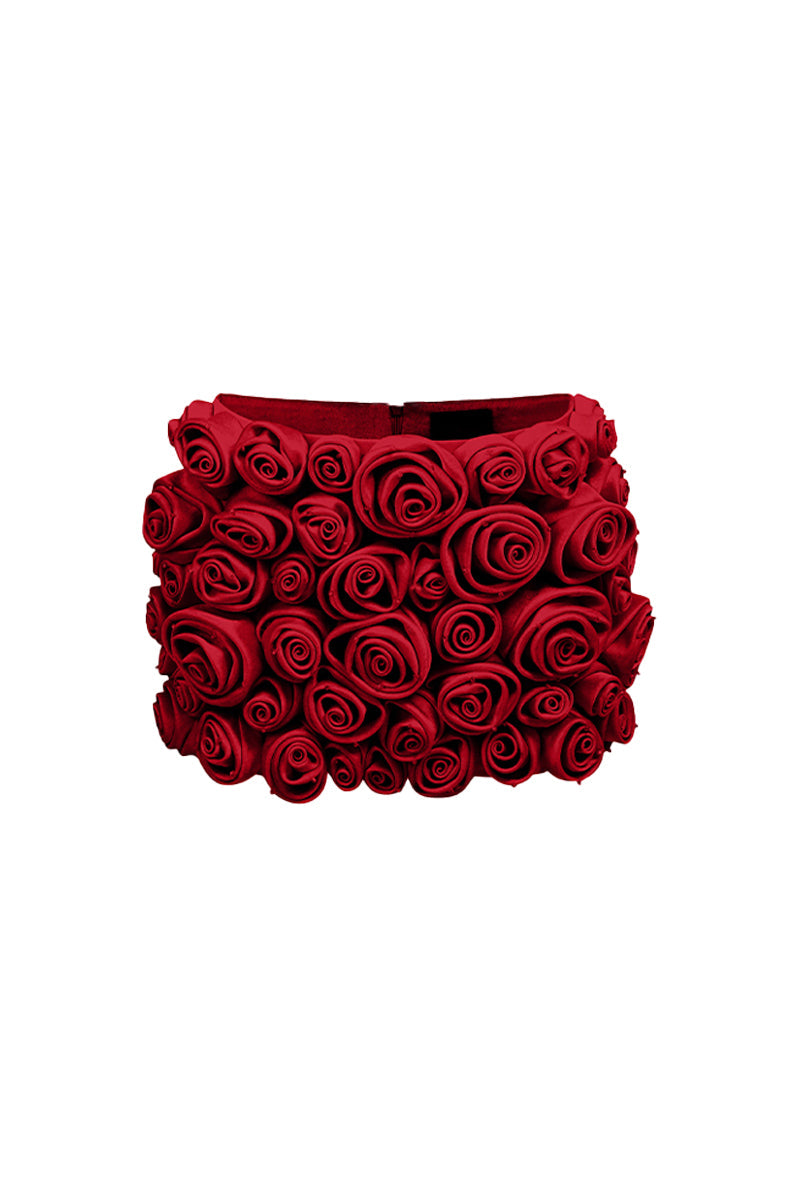 Alanna Bodycon Applique Skirt 16