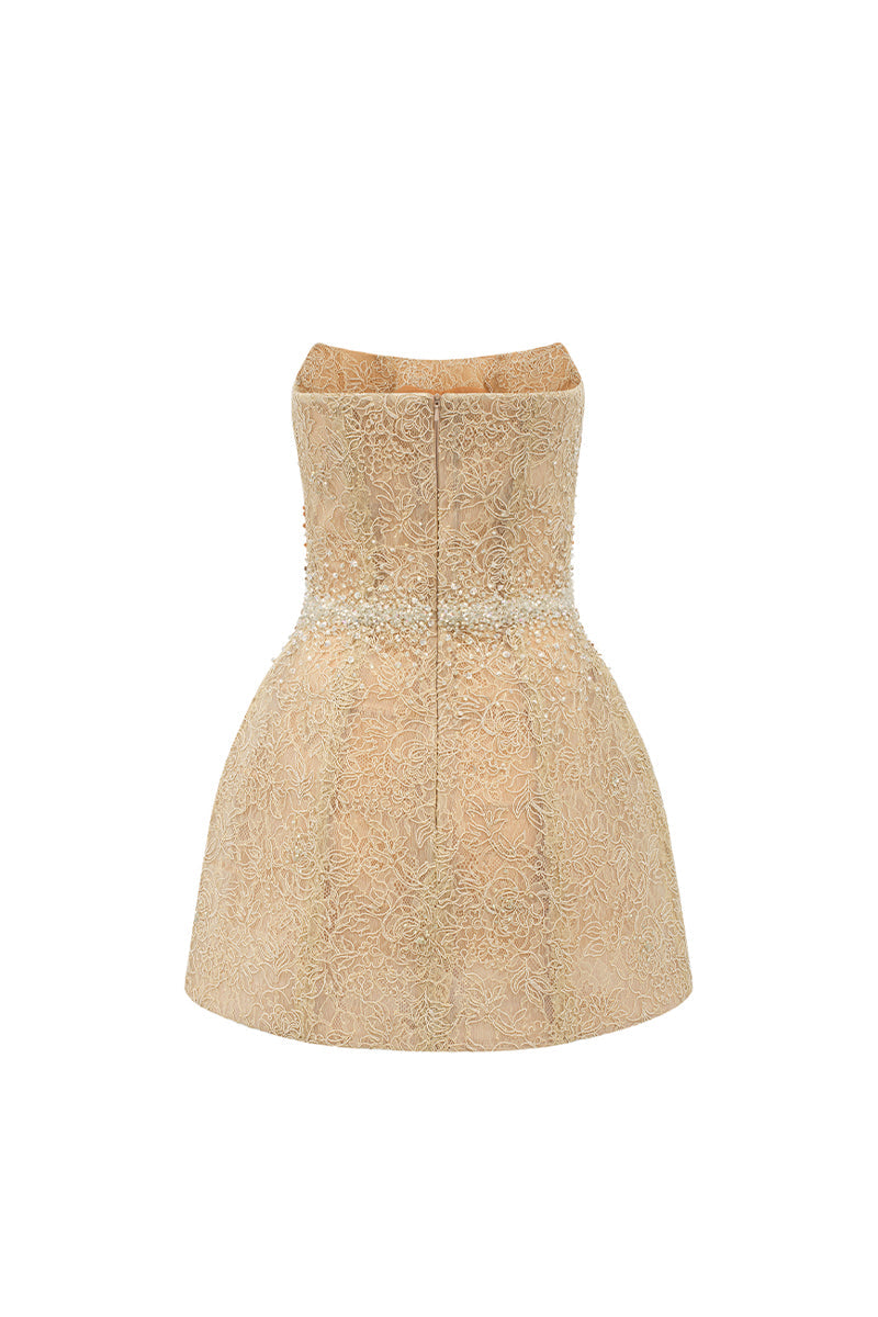 Mae A-line Lace Mini Dress 4