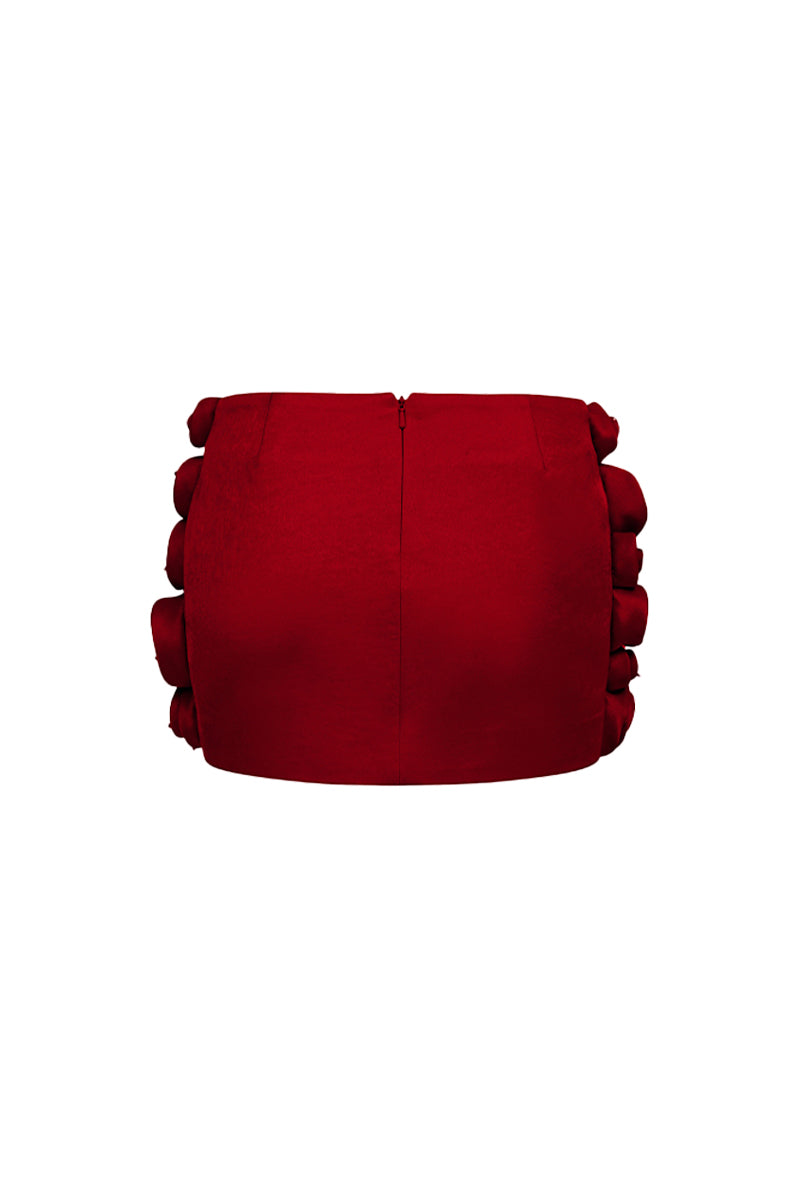 Alanna Bodycon Applique Skirt 17