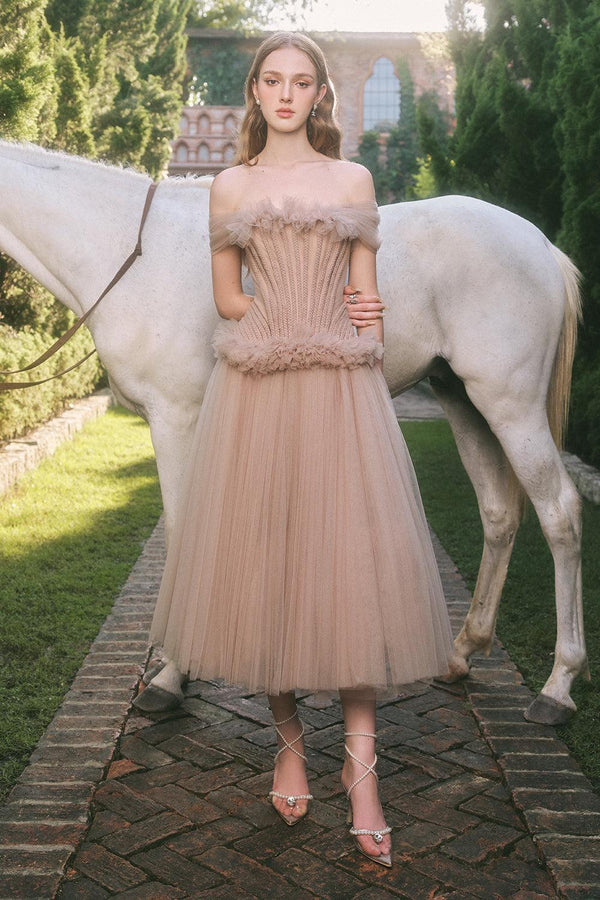 Cinnamon Drop Waist Off-Shoulder Mesh Midi Dress Midi Dress LINH PHUNG