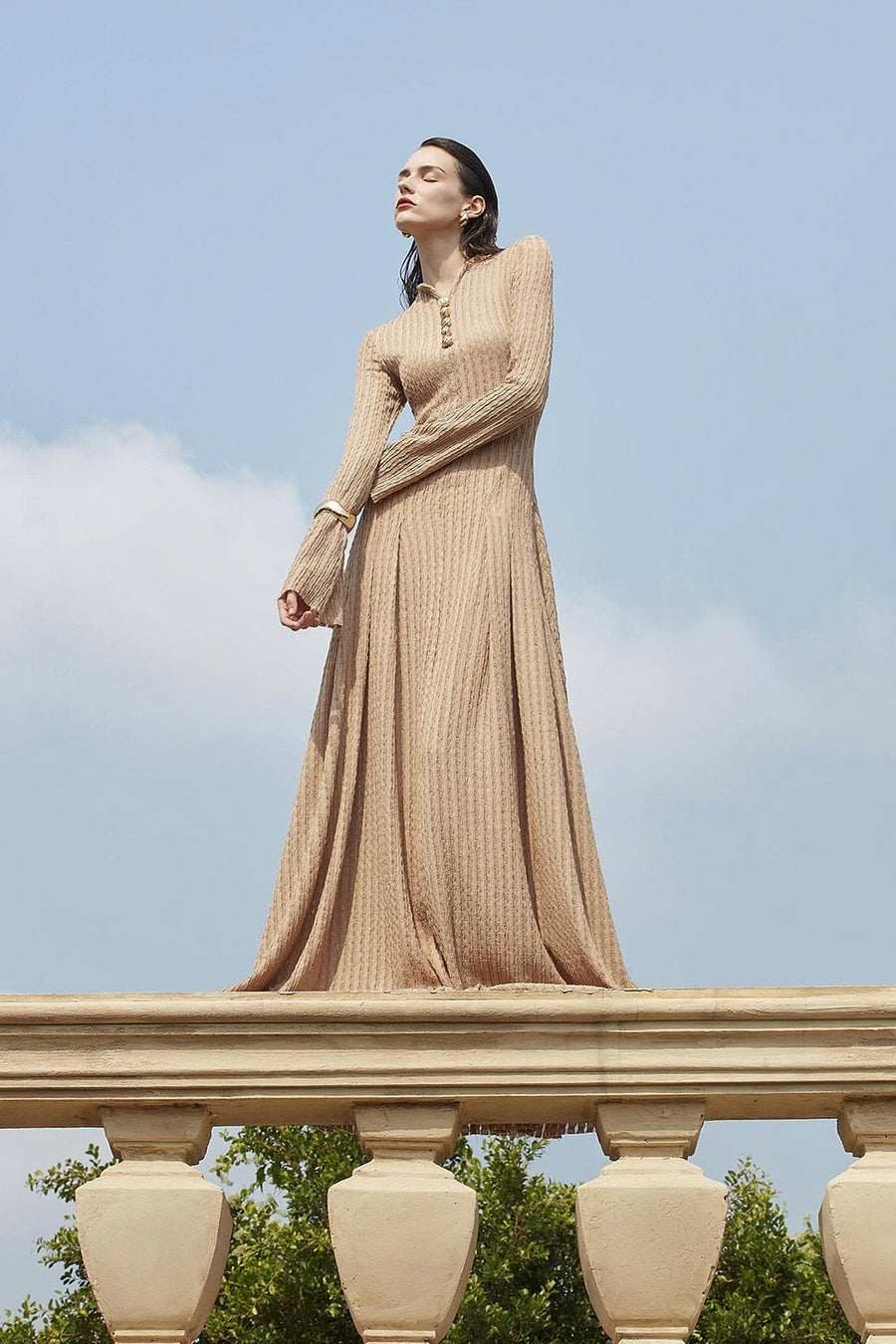 Delphi I Mock Neck Button Maxi Dress 6