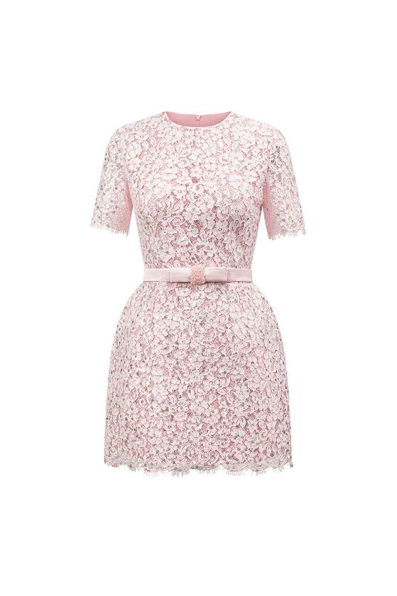 Gianna Regular Sleeve Lace Mini Dress
