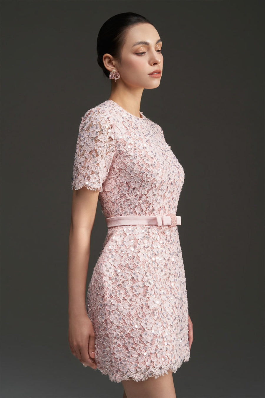 Gianna Regular Sleeve Lace Mini Dress 7