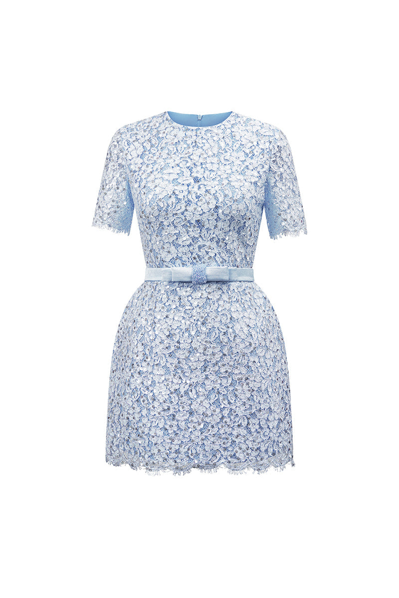 Gianna Regular Sleeve Lace Mini Dress 10