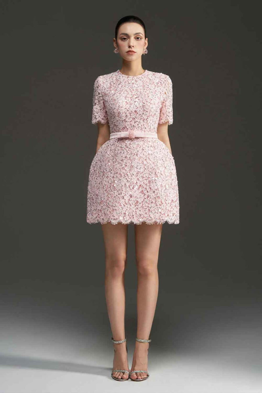 Gianna Regular Sleeve Lace Mini Dress