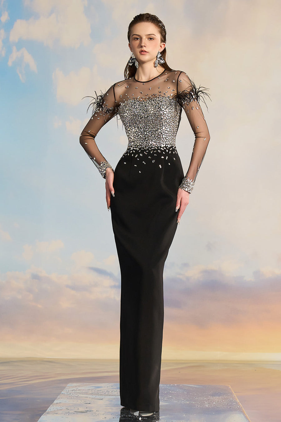 Drusilla Sheath See-Through Crepe Floor Length Dress Gown Dress 21Six