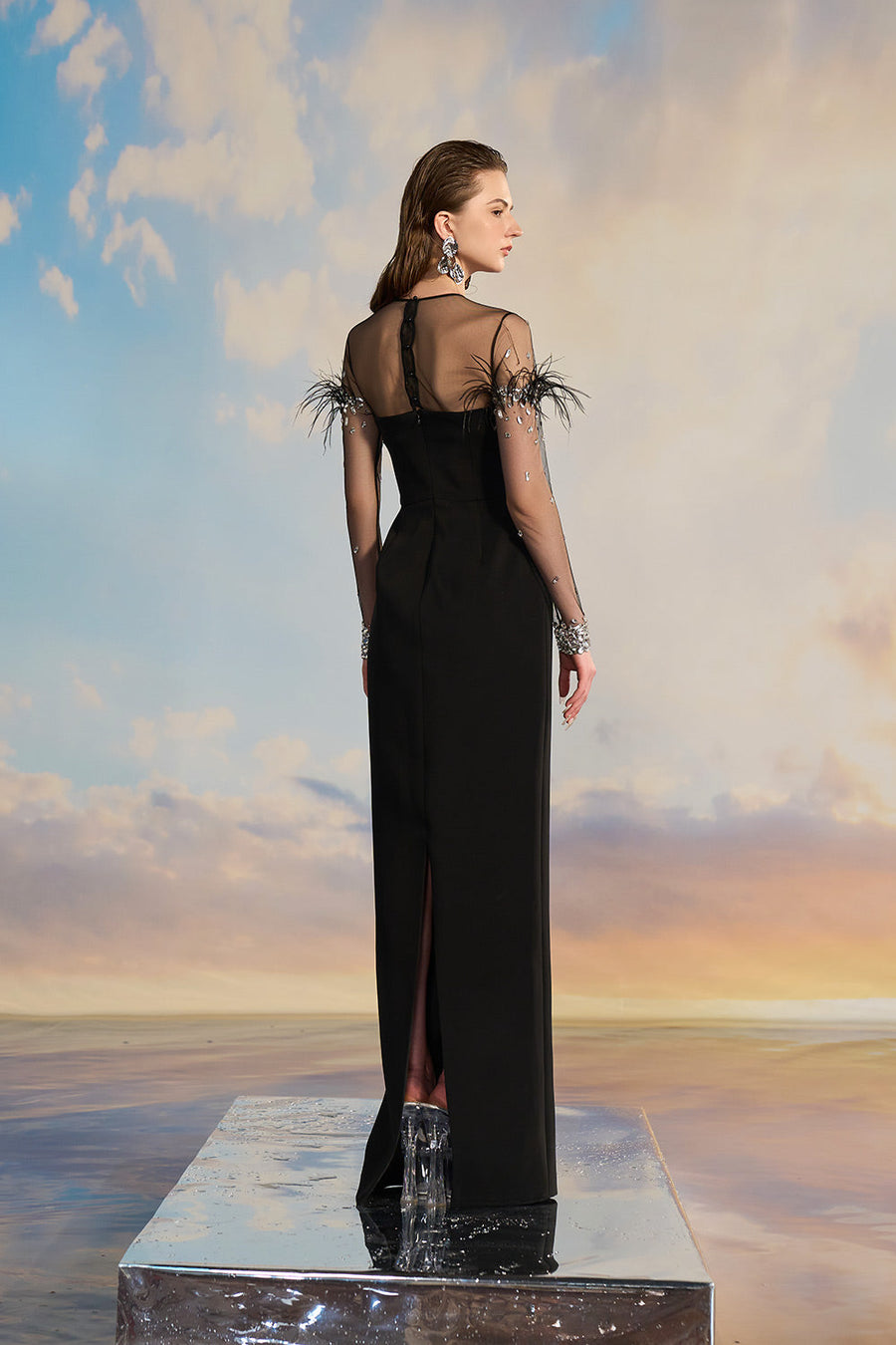 Drusilla Sheath See-Through Crepe Floor Length Dress Gown Dress 21Six