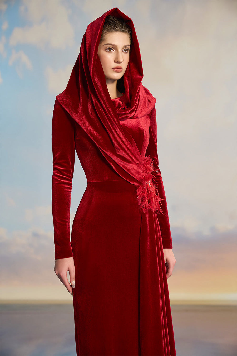 Jazzie Sheath Hooded Neck Velvet Floor Length Dress Gown Dress 21Six