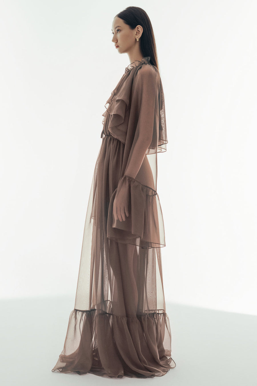 Cecelia Blouson Sheer Chiffon Maxi Dress 2