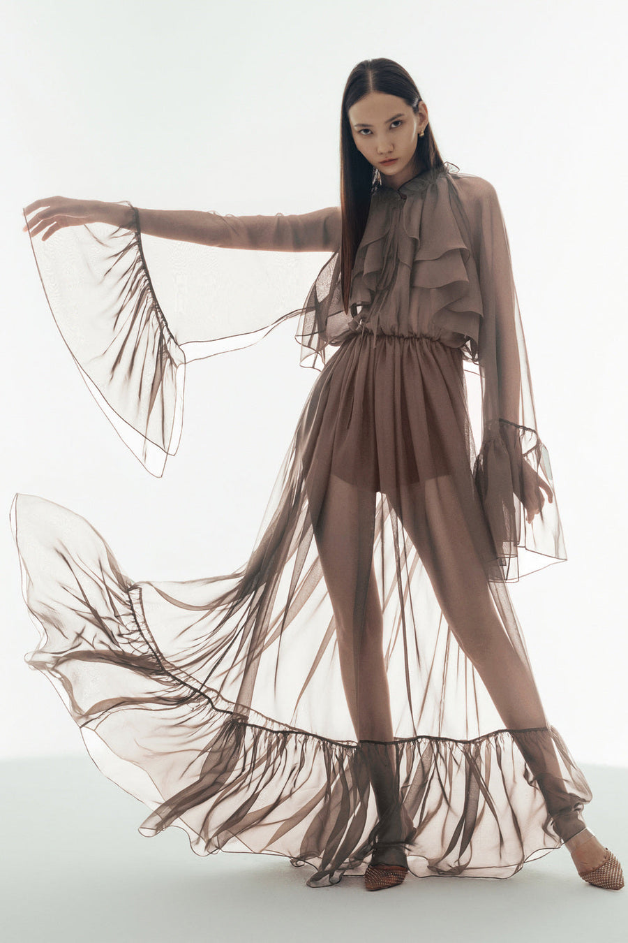 Cecelia Blouson Sheer Chiffon Maxi Dress 4