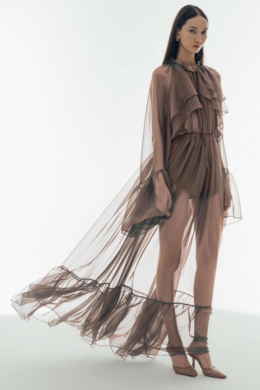 Cecelia Blouson Sheer Chiffon Maxi Dress 3