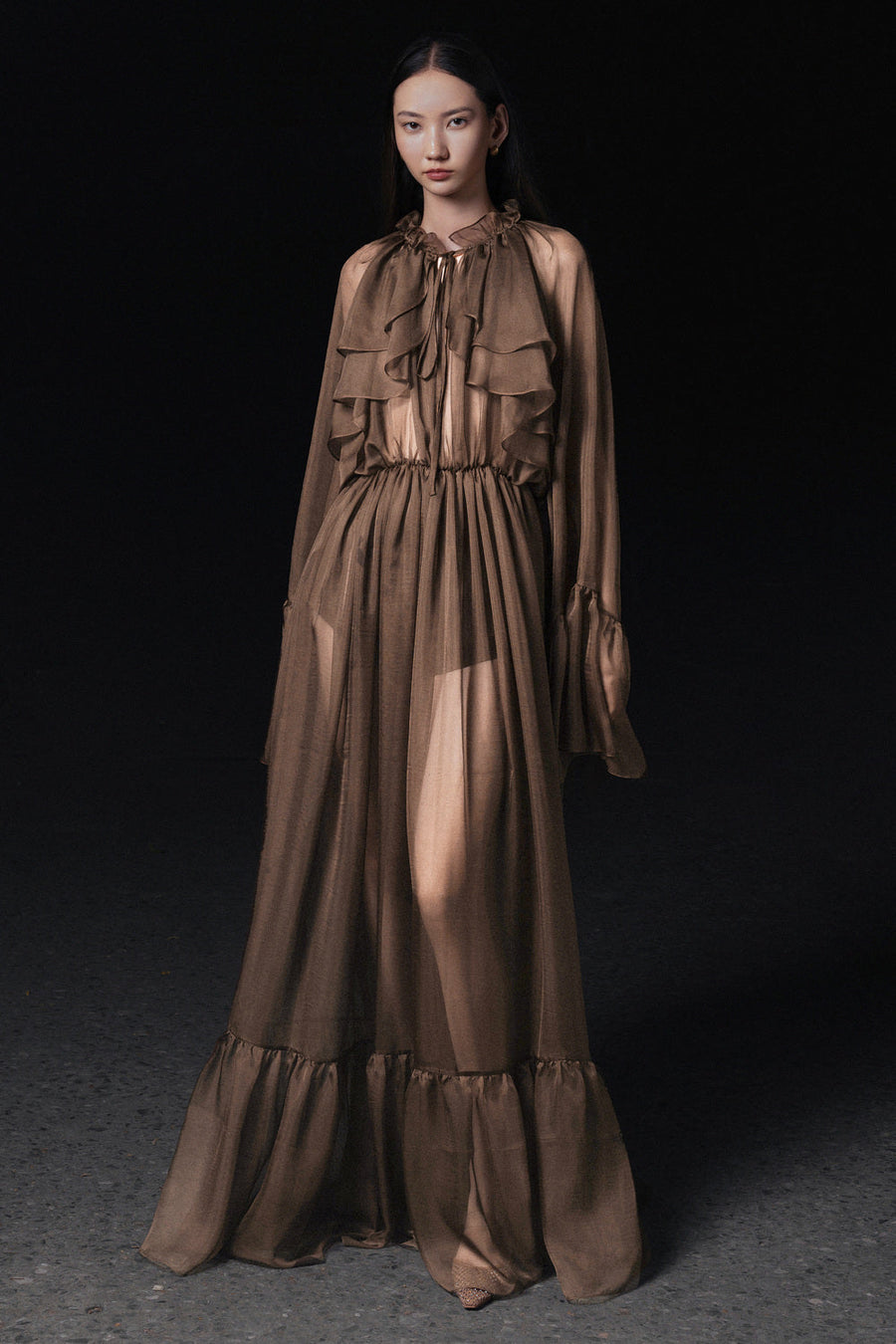 Cecelia Blouson Sheer Chiffon Maxi Dress 5