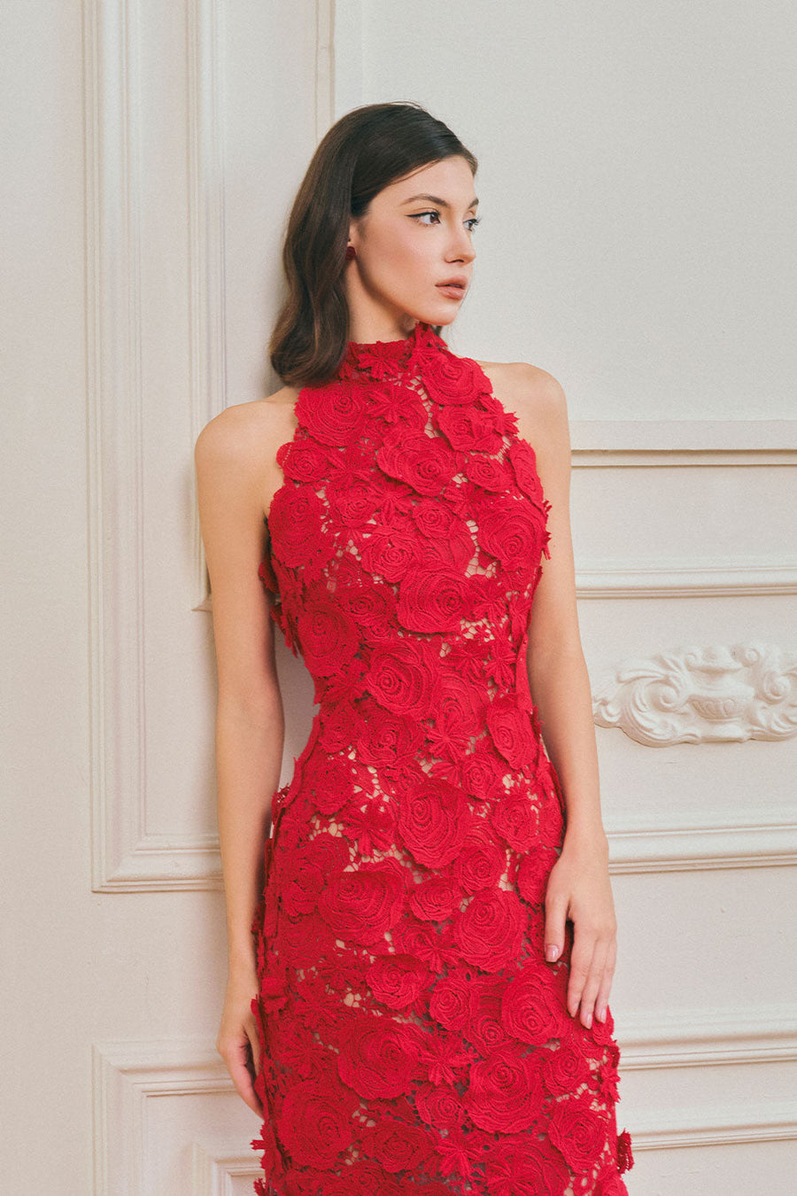 Lily Sheath Sleeveless Lace Maxi Dress 4