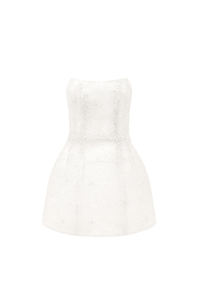 Mae A-line Lace Mini Dress 9