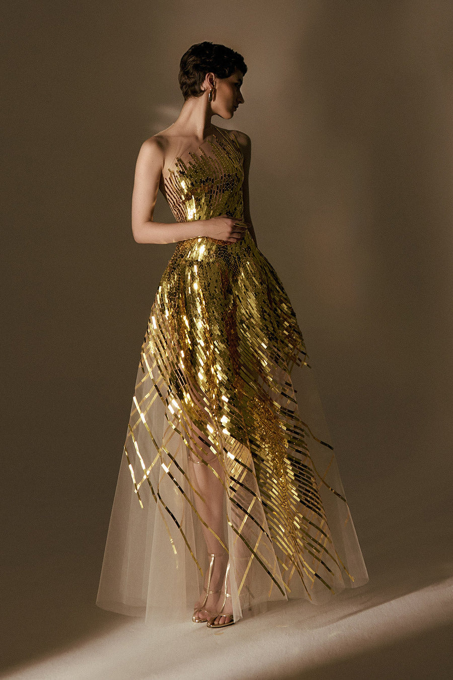 Lustre A-Line Illusion Neck Mesh Floor Length Dress Gown Dress POEM