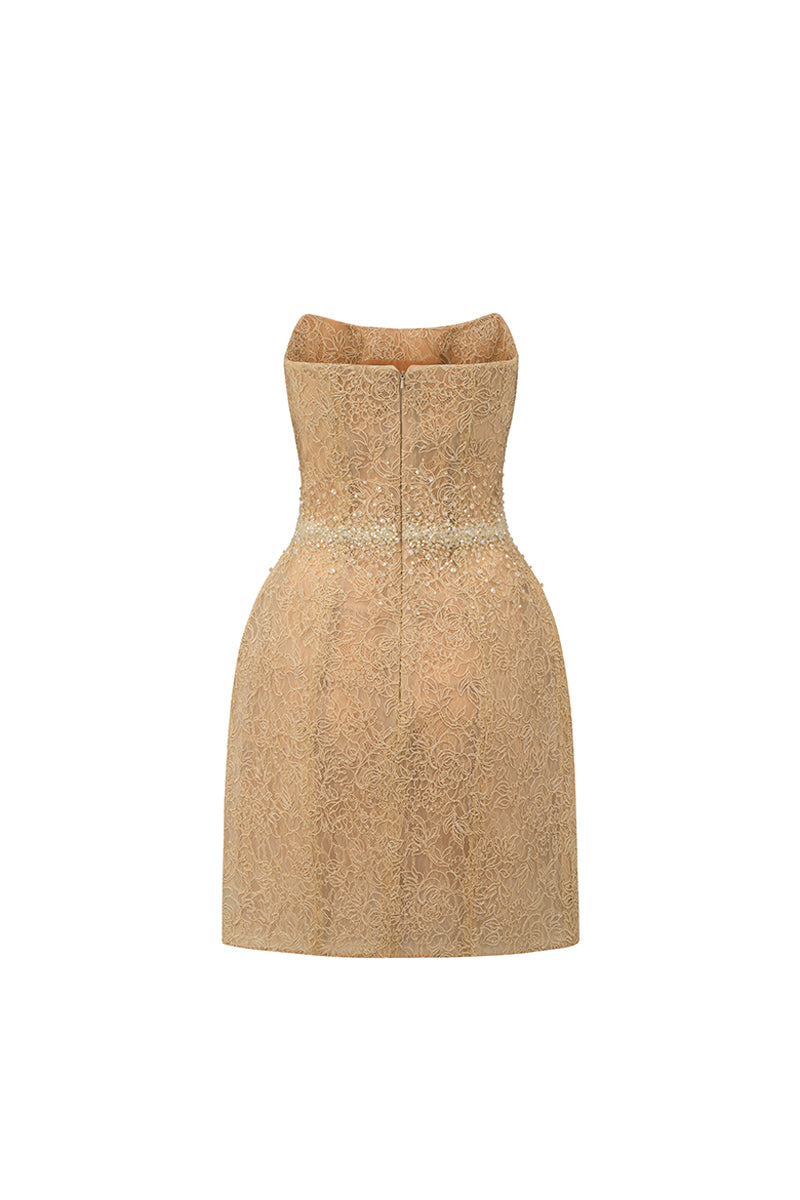 Penelope Straight Across Neck Lace Mini Dress 7