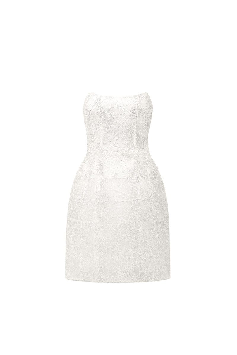 Penelope Straight Across Neck Lace Mini Dress 20