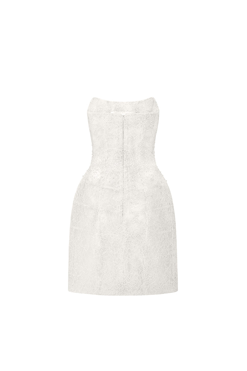 Penelope Straight Across Neck Lace Mini Dress 21