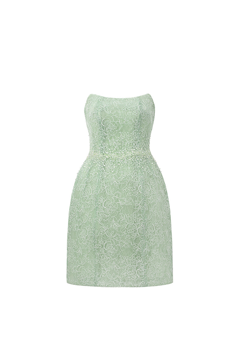 Penelope Straight Across Neck Lace Mini Dress 13