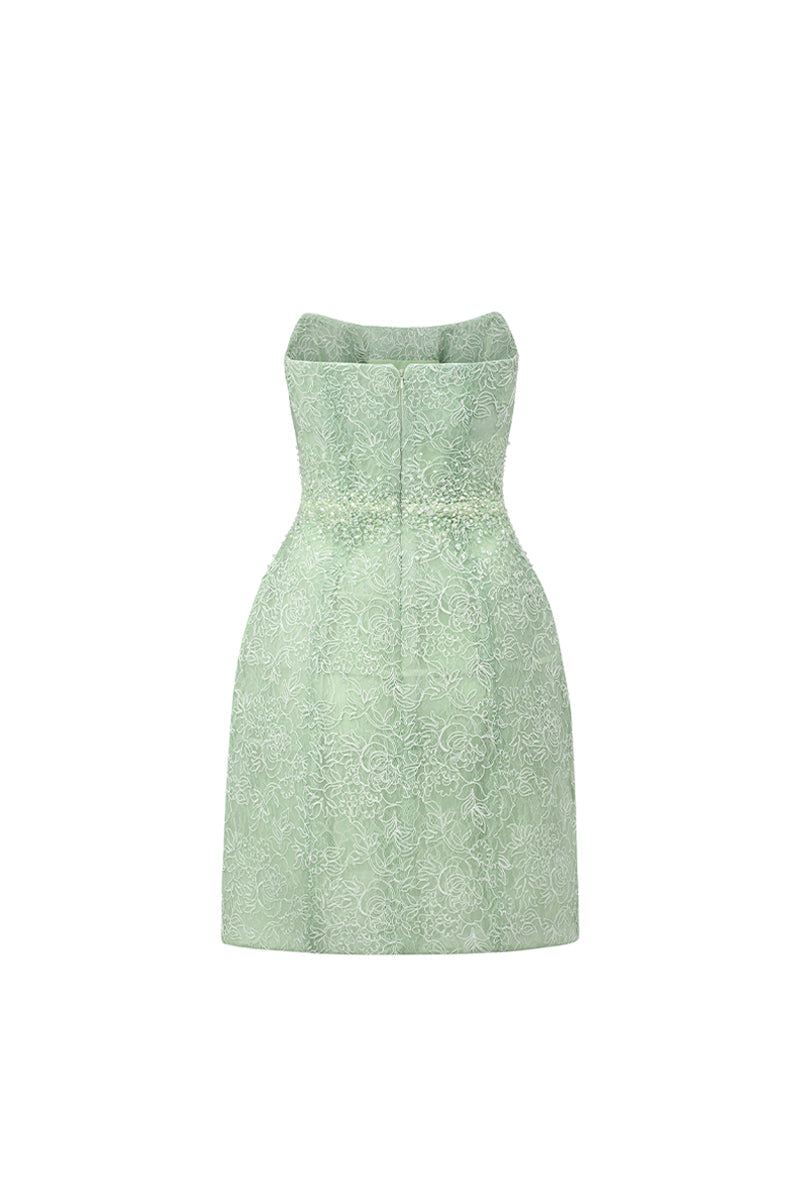 Penelope Straight Across Neck Lace Mini Dress 15
