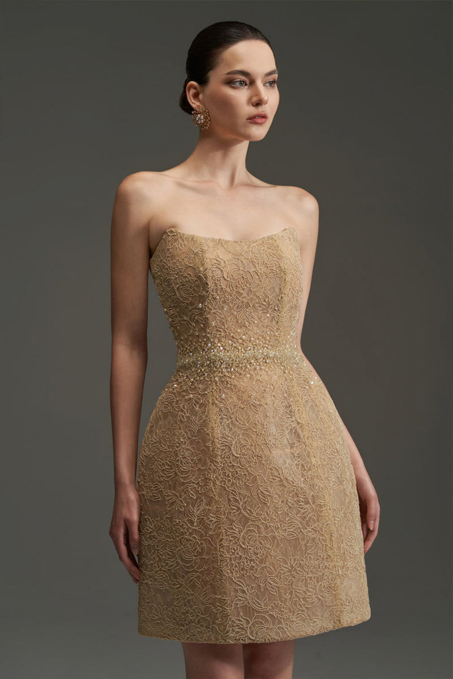 Penelope Straight Across Neck Lace Mini Dress 4