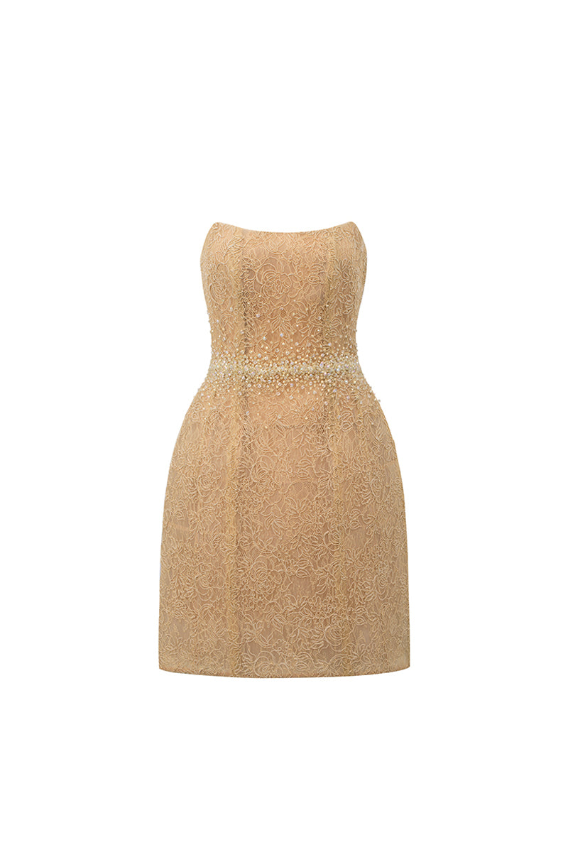 Penelope Straight Across Neck Lace Mini Dress 1