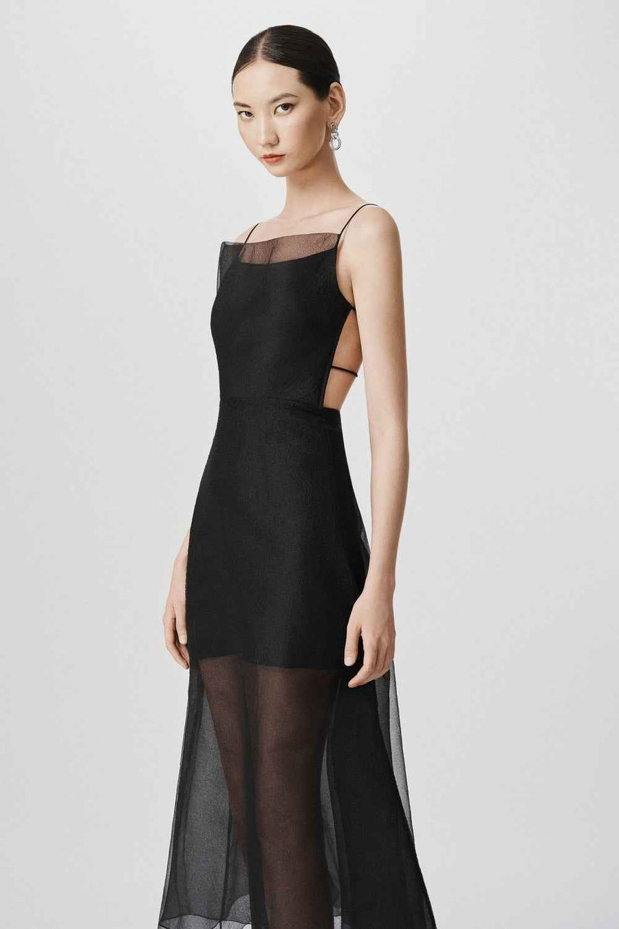 Roselyn A-line Sheer Organza Calf Length Dress