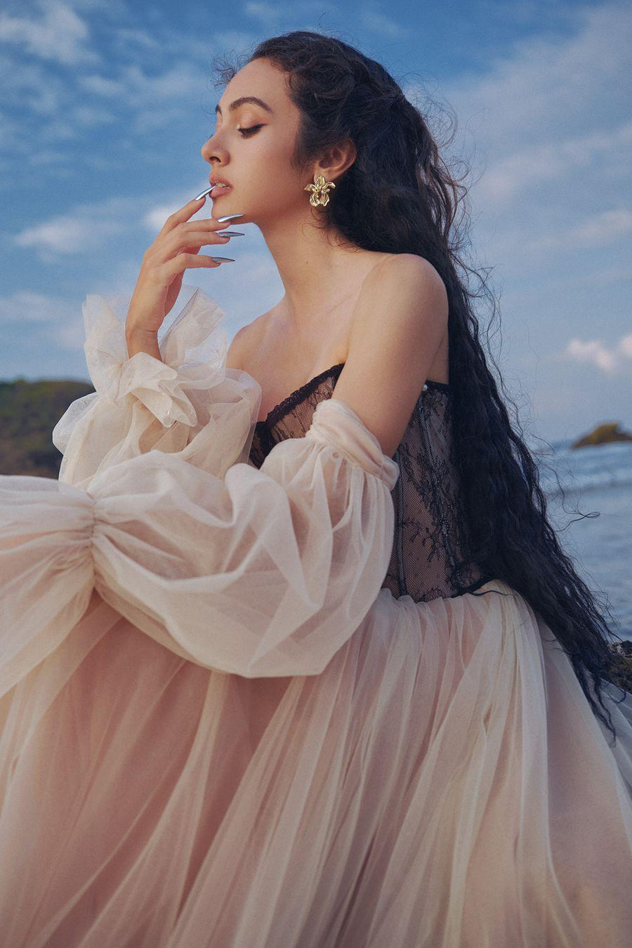 The Moon Ball Gown Corset Waist Mesh Lace Floor Length Dress Gown Dress LINH PHUNG