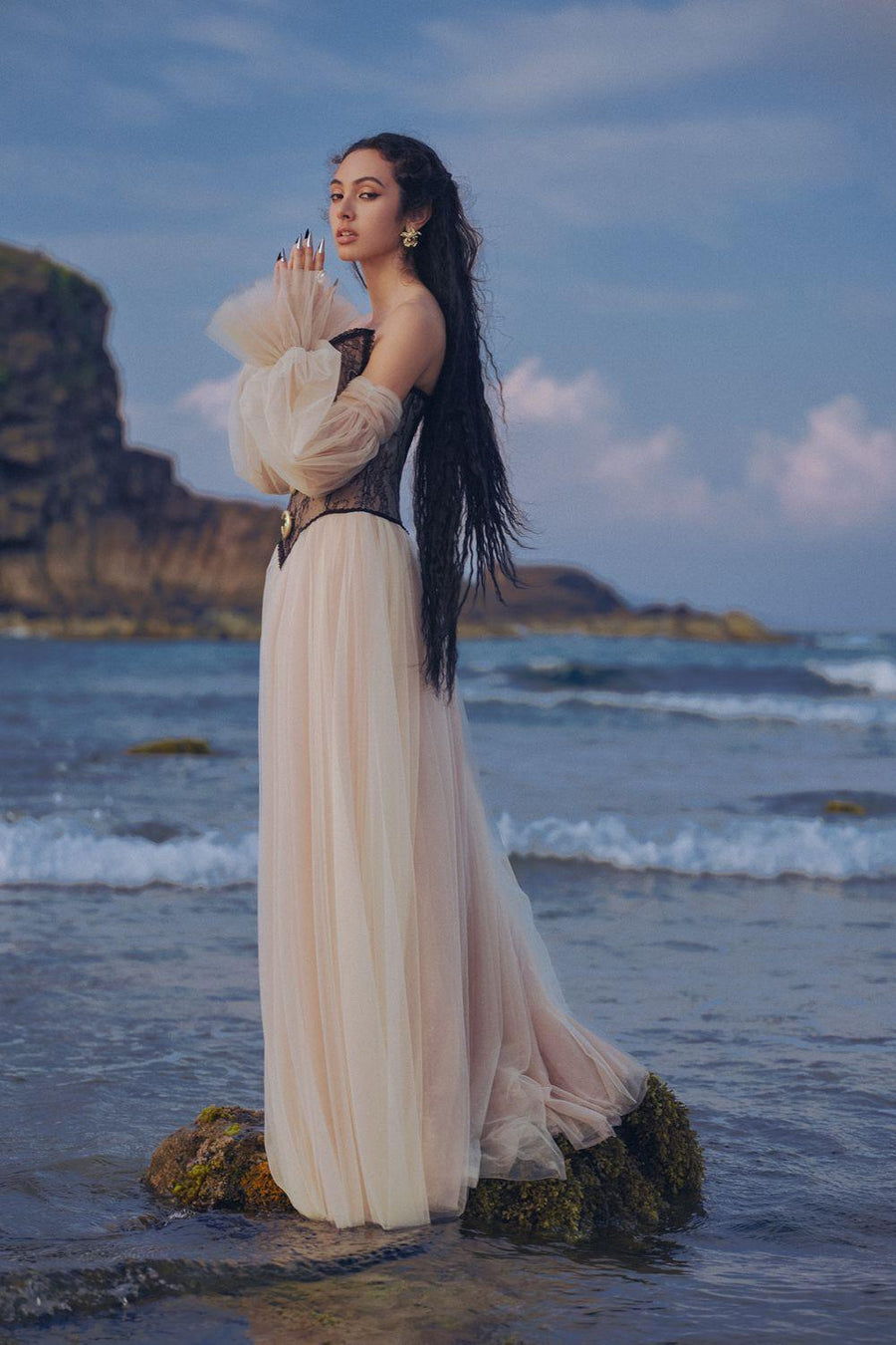 The Moon Ball Gown Corset Waist Mesh Lace Floor Length Dress Gown Dress LINH PHUNG