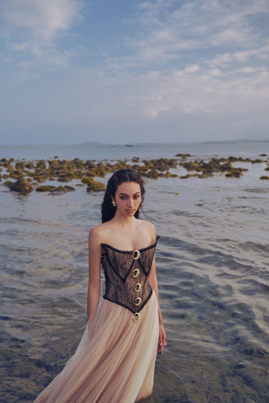 The Moon Ball Gown Corset Waist Mesh Lace Floor Length Dress Gown Dress LINH PHUNG
