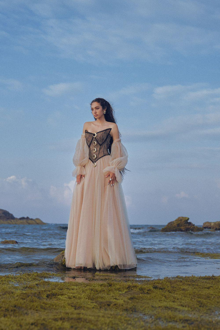 The Moon Ball Gown Corset Waist Mesh Lace Floor Length Dress Brown Gown Dress LINH PHUNG