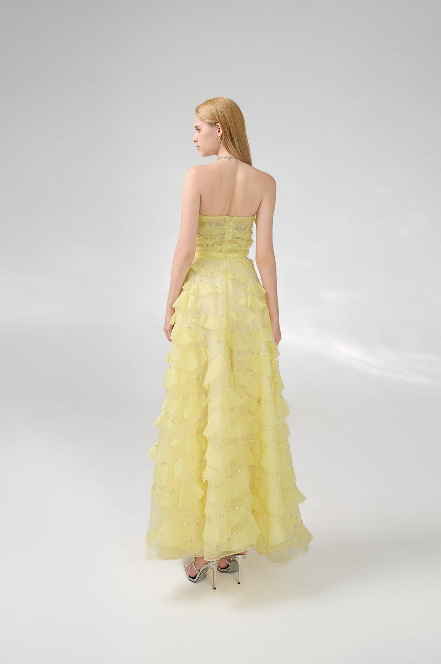 Arjun Strapless Stone Organza Floor Length Dress 11