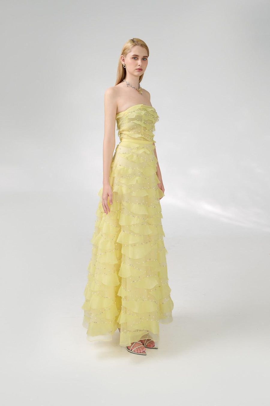 Arjun Strapless Stone Organza Floor Length Dress 12