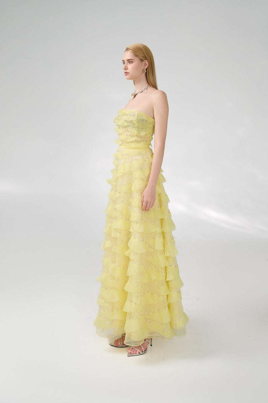 Arjun Strapless Stone Organza Floor Length Dress 13