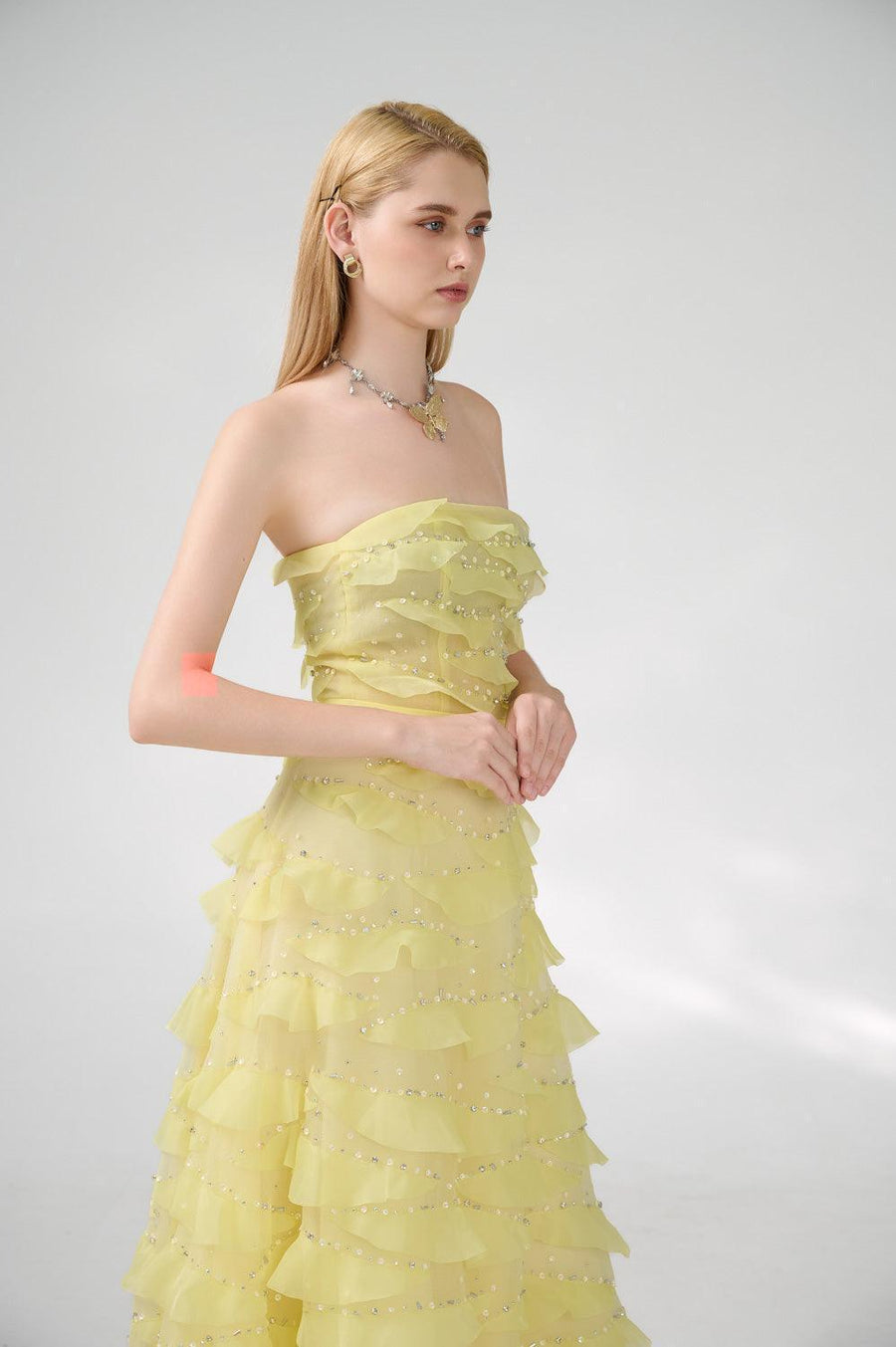 Arjun Strapless Stone Organza Floor Length Dress 9