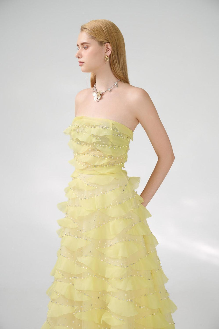 Arjun Strapless Stone Organza Floor Length Dress 10