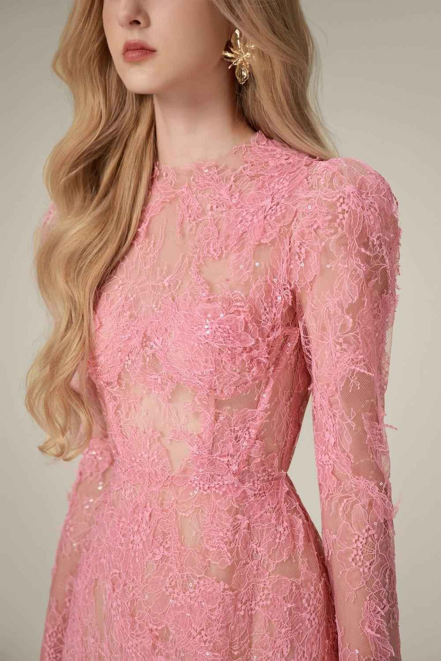 Beaded Lace Dress