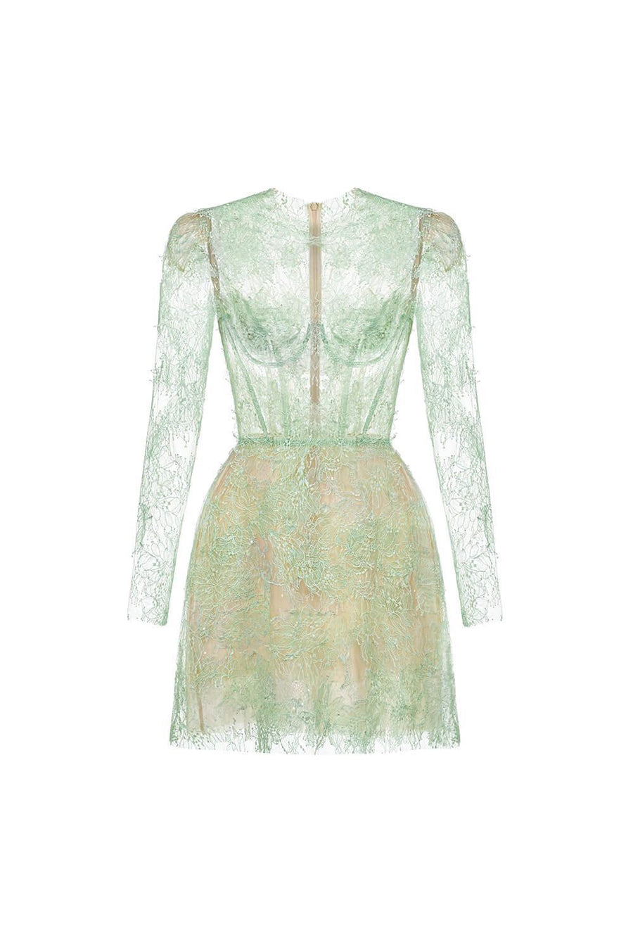 Beaded Lace Dress 6