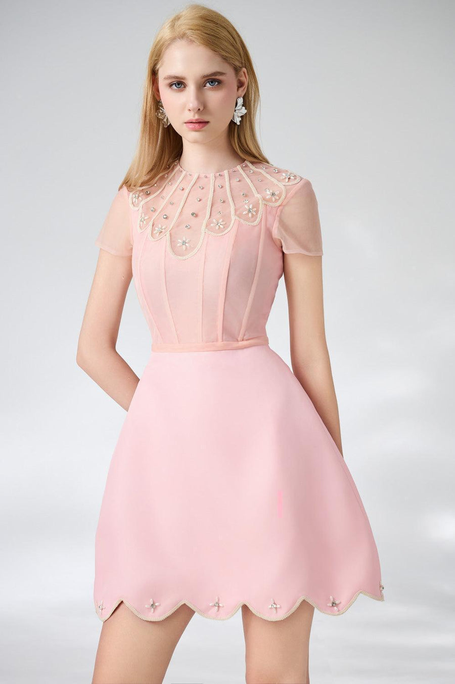 Beasley A-line Short Sleeved Taffeta Mini Dress 4