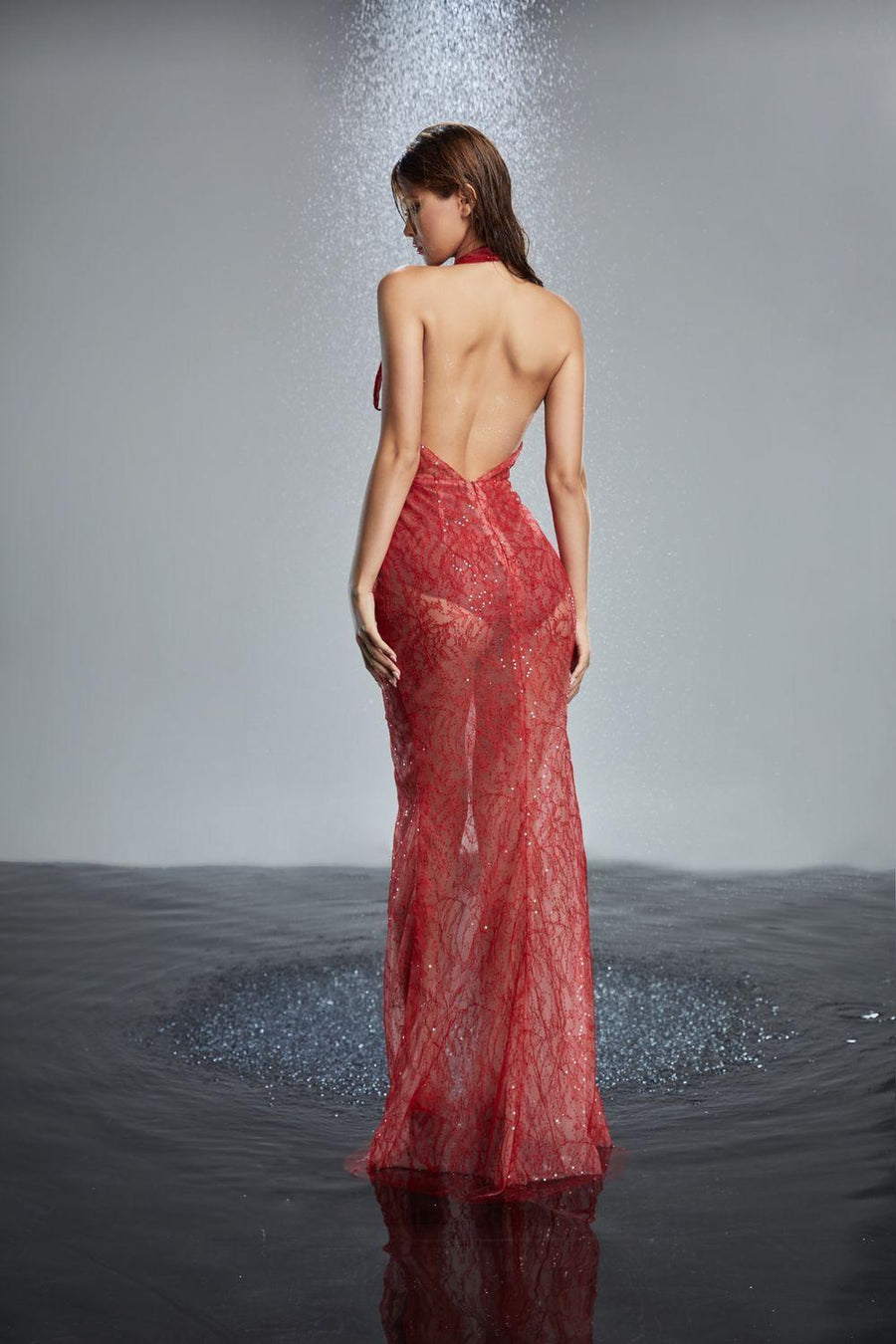 Butterfly Halter V-Neck Lace Maxi Dress Maxi Dress LASSY