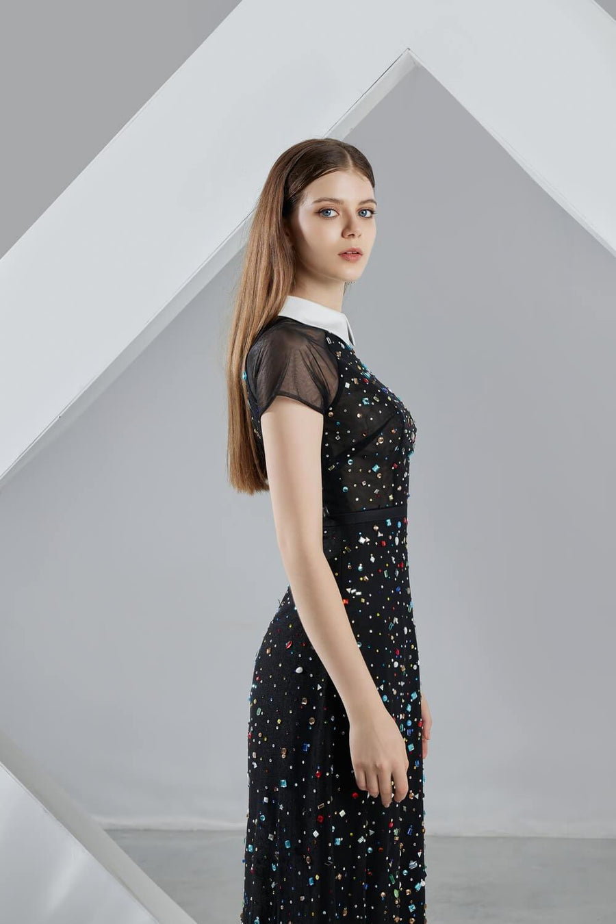 Christina A-line Short Sleeved Mesh Sheer Midi Dress 3
