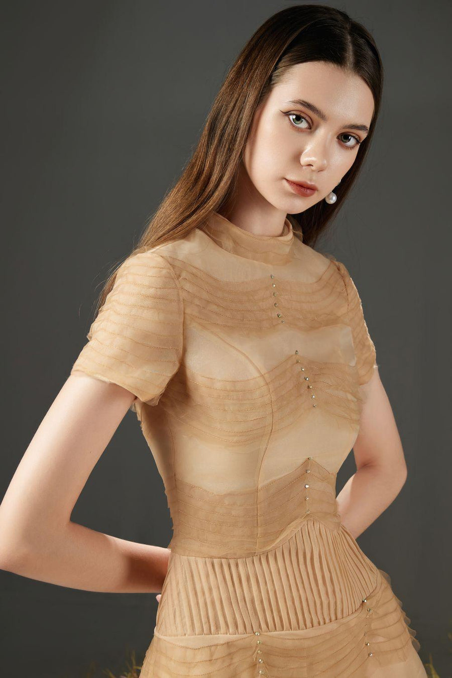 Davie A-line Waist Pleated Organza Midi Dress 2