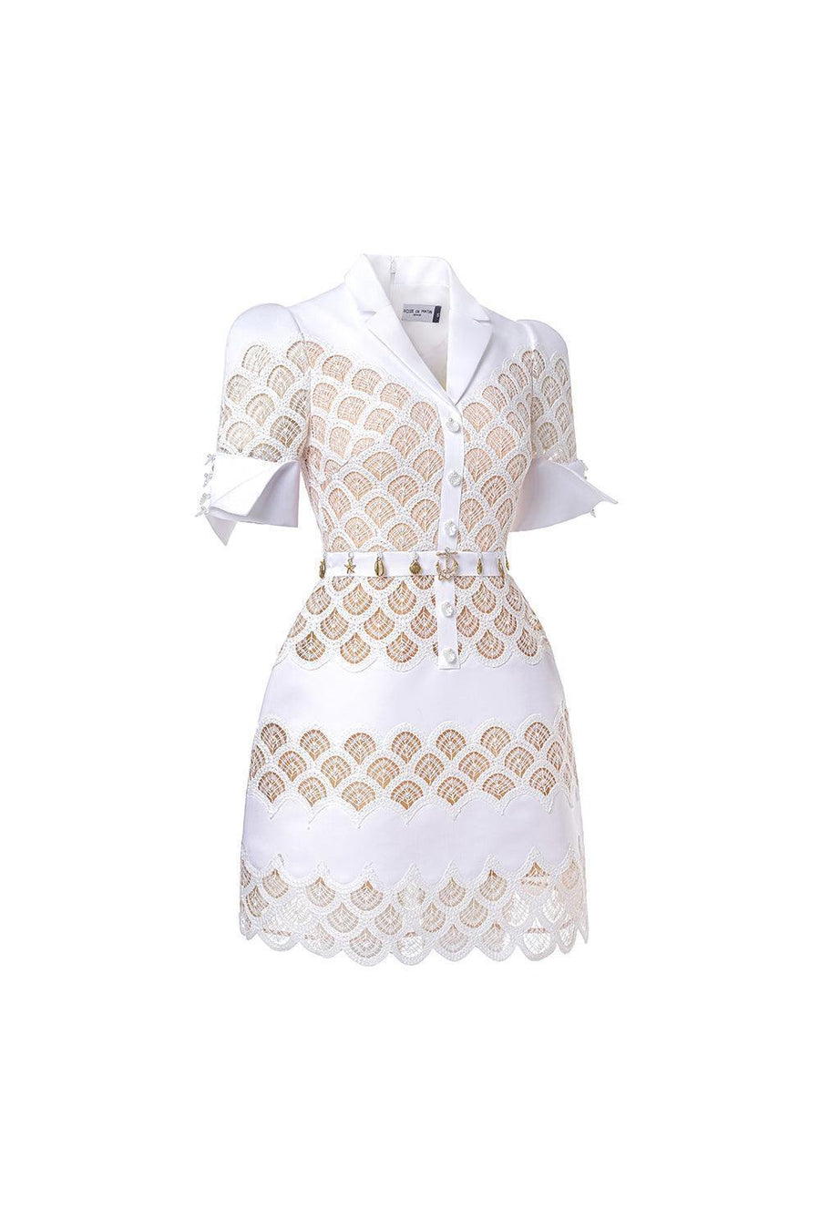 Erica A-line Leg Of Mutton Sleeved Lace Mini Dress Mini Dress Rosee de Matin