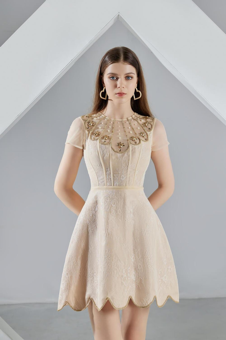 Freyja A-line Short Sleeved Organza Mini Dress 3