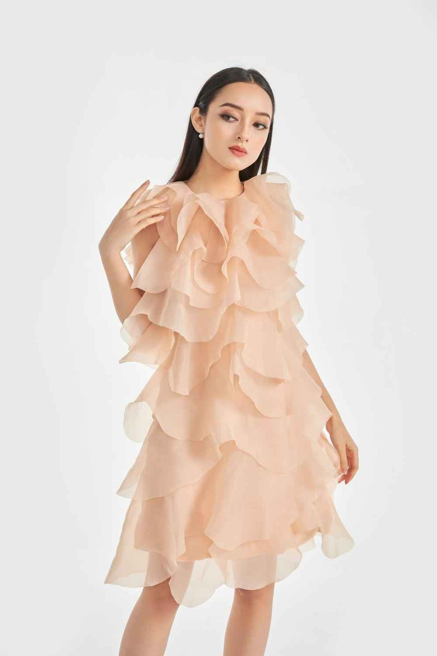 Hailey Layered Sleeveless Organza Knee-length Dress