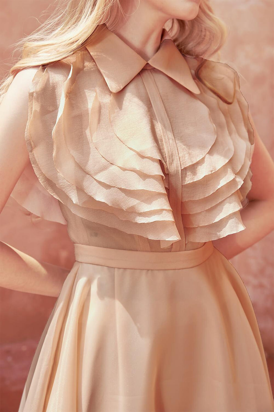 Ichigo Fit and Flare Collared Neck Organza Midi Dress 3