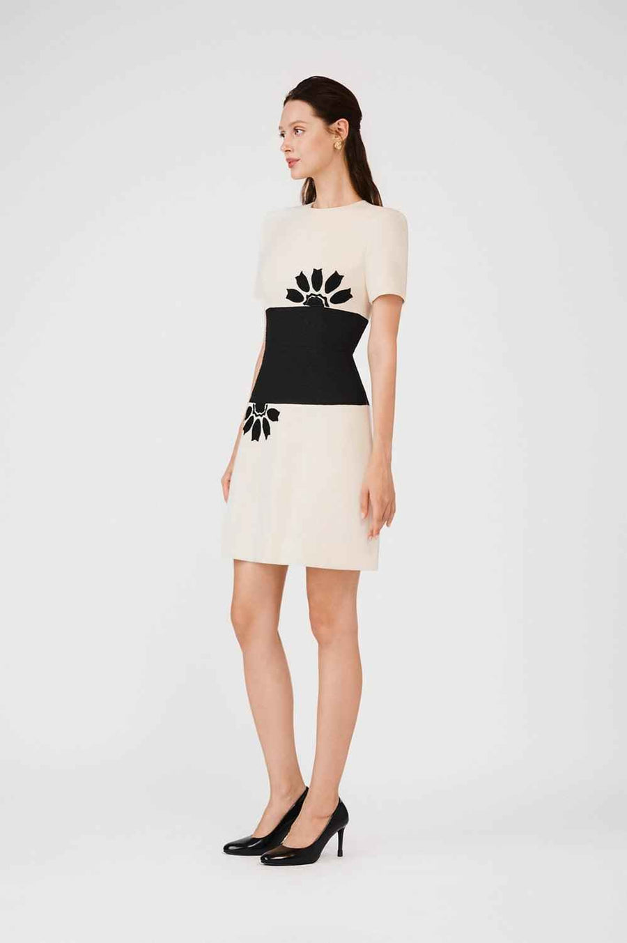 Isabela Drop Waist Round Neck Taffeta Mini Dress